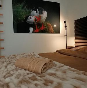 Puffin Nest In The Heart Of Reykjavik Shopping Area Apartment Exterior photo