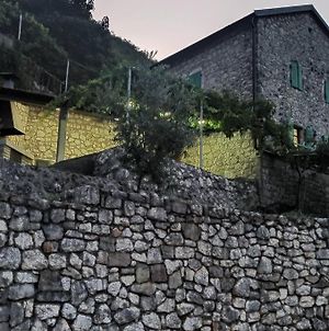 Guest House Jovicevic - Gornji Ceklin Cetinje Exterior photo