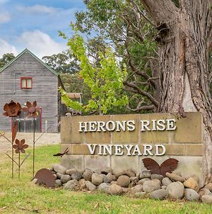 Herons Rise Vineyard Accommodation Kettering Exterior photo