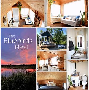 The Bluebirds Nest Guest House Dufrost Exterior photo
