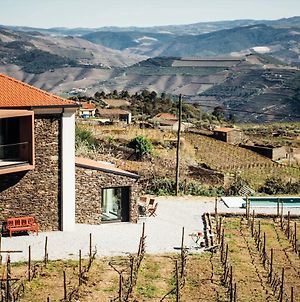 Casa do Santo - Wine & Tourism Villa Provesende Exterior photo