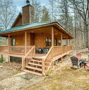 Mountain Top Cabin I Secluded Retreat I Bbq I Firepit Blairsville Exterior photo