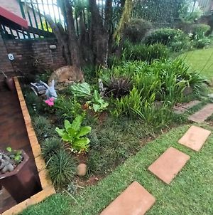Majestic View Self Catering Guest House Sabie Exterior photo