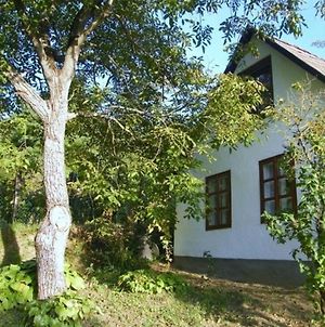 Komfortables Ferienhaus In Den Weinbergen, Bei Absolut Ruhiger Lage - Ideal Zur Erholung In Der Natur Villa Dobrokoz Exterior photo