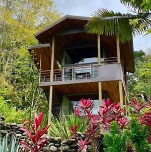 Tortuga Premium Riverfront Jungle Villa With Jacuzzi And Pool Uvita Exterior photo