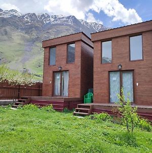 Twin Cottages Kazbegi Exterior photo