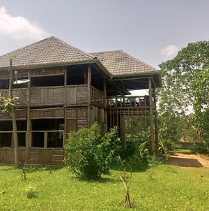 Jungle Lodge Kibale Fort Portal Exterior photo