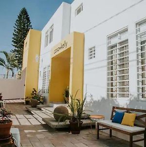 Casa Kelly, Encanto Mexicano Leon Exterior photo