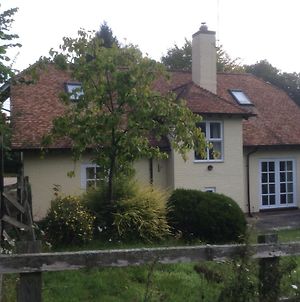 Secluded Cosy Cottage Newbury  Exterior photo