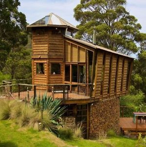 The 'Nook' - Cabin In The Tassie Wilderness! Villa Ridgeway Exterior photo