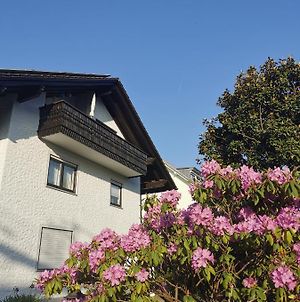 Ferienwohnung Magnolie In Langenargen Exterior photo
