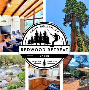 Redwood Retreat, Mountains, Adventure And Nature Ponderosa Exterior photo