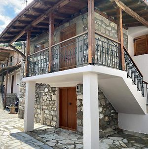 Despina'S House Villa Sykia Chalkidikis Exterior photo