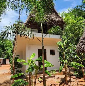 Nebula Nest Cafe & Hostel Auroville Exterior photo