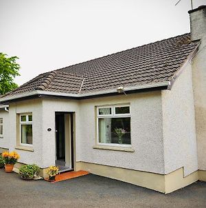 Crebilly Cottage - Rural Life Doesn'T Get Better Ballymena Exterior photo