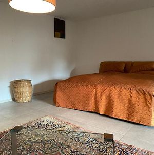 Grosszugiges Design Komfort-Appartement 60 Qm Nussloch Exterior photo