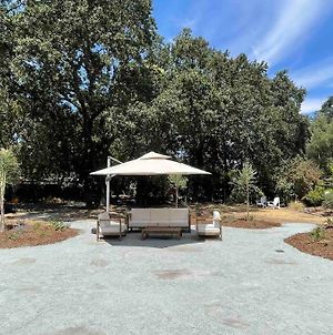 Diamond Vacation Home In Wine Country Sonoma! Exterior photo