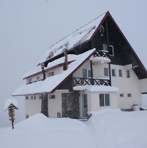 Snow House Hostel Gudauri Exterior photo