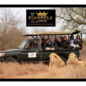 Elandela Private Game Reserve And Luxury Lodge Hoedspruit Room photo