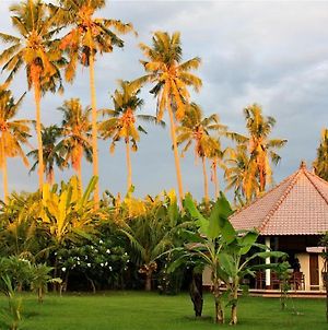 Bali Oase Resort Pemuteran  Exterior photo