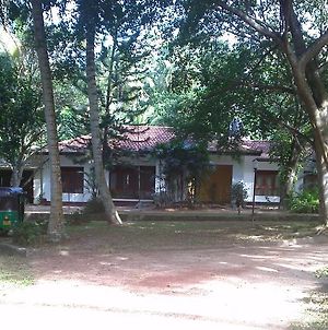 The Saffron Country House Guest House Katunayake Exterior photo