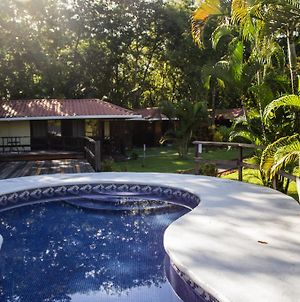 Osa Lodge Puerto Jimenez Exterior photo