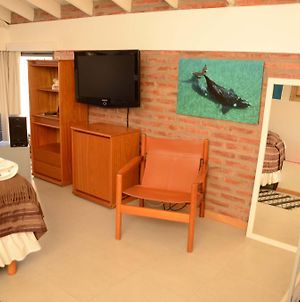 Las Anemonas Sur Apartment Puerto Madryn Room photo