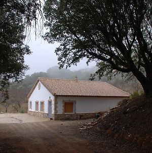 Casa Rural Las Encinas Villa Marchena  Exterior photo