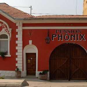 Pension Phonix Sighisoara Exterior photo