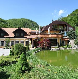 Guesthouse Villa Zelenjak Ventek Kumrovec Exterior photo