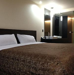 Hotel Amazonas Mexico City Room photo