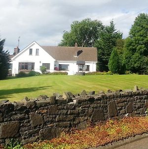 Quarrytown Lodge Ballymena Exterior photo
