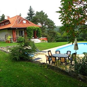 Villa Blanka Horni Podkozi Exterior photo