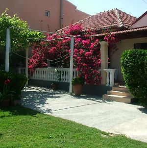 Villa Spiridoula Agios Stefanos Avliotes  Exterior photo