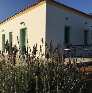 Villa Lemonia - Guest House Aroniadika Exterior photo