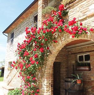 Casale Del Colle | Perugia Villa Collestrada Exterior photo