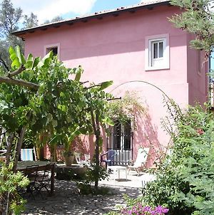 A Zerbi Villa Cittanova  Exterior photo