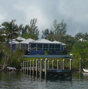 Coconut Cabana Villa Green Turtle Cay Exterior photo