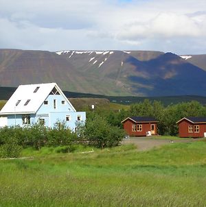 Guesthouse Petursborg Akureyri Exterior photo