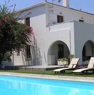 Villa Irini Spetses Island Exterior photo