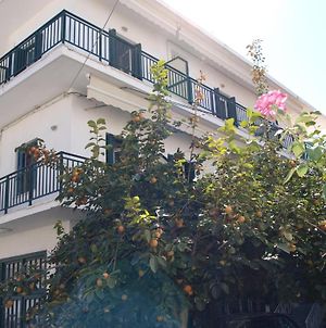 Lito Apartment Samos Exterior photo