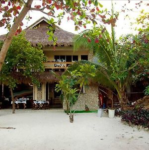 Angelina Beach Hotel Malapascua Island Exterior photo