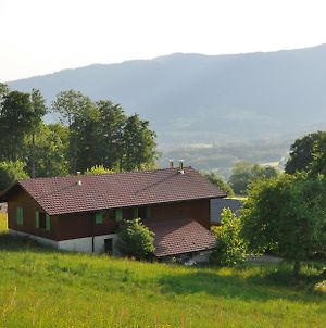 Le Green Chalet Villa Villard-sur-Boege Exterior photo