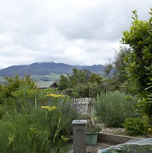 Highgate Bed And Breakfast & Garden Pirongia Exterior photo