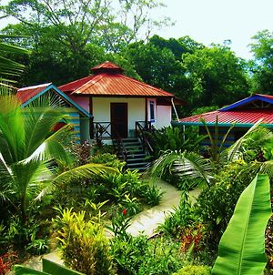 Casa Abundancyah Bed & Breakfast Bocas del Toro Exterior photo
