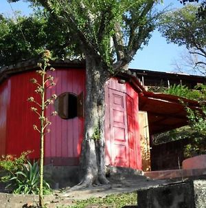 1 Bedroom Cabin, 3 Blocks From Beach And Center Of San Juan San Juan del Sur Exterior photo