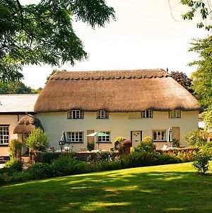 The Barn And Pinn Cottage Sidmouth Exterior photo