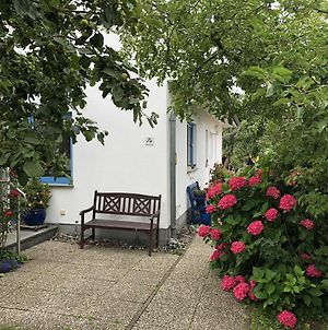 Ferienwohnung Mit Garten Wieck Exterior photo
