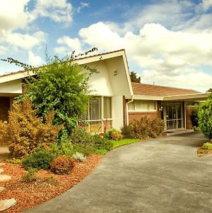 Box Hill Motel Melbourne Exterior photo