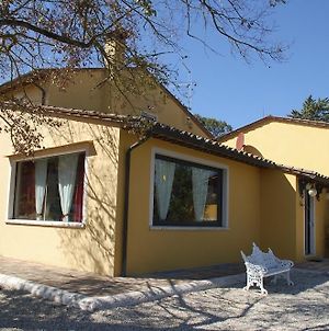 Villa Serra Cetona Exterior photo